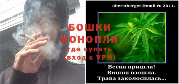 гидра Магас