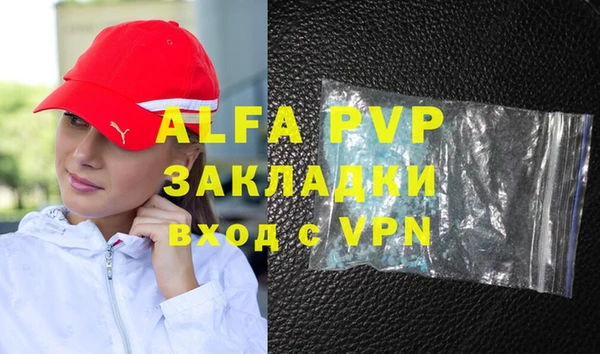 прущие грибы Майский
