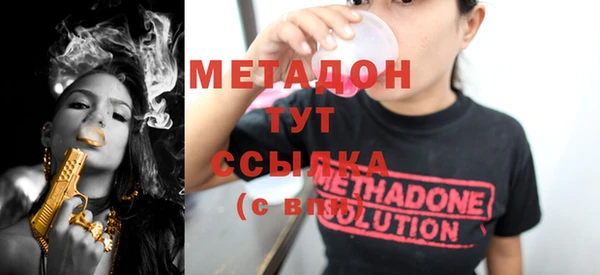 прущие грибы Майский