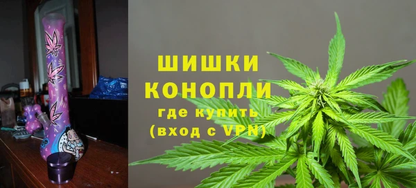 трава Мегион